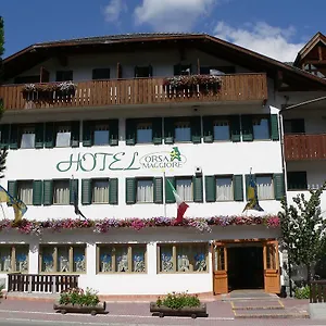 hotel-orsa-maggiore-falcade.hotelinveneto.com/